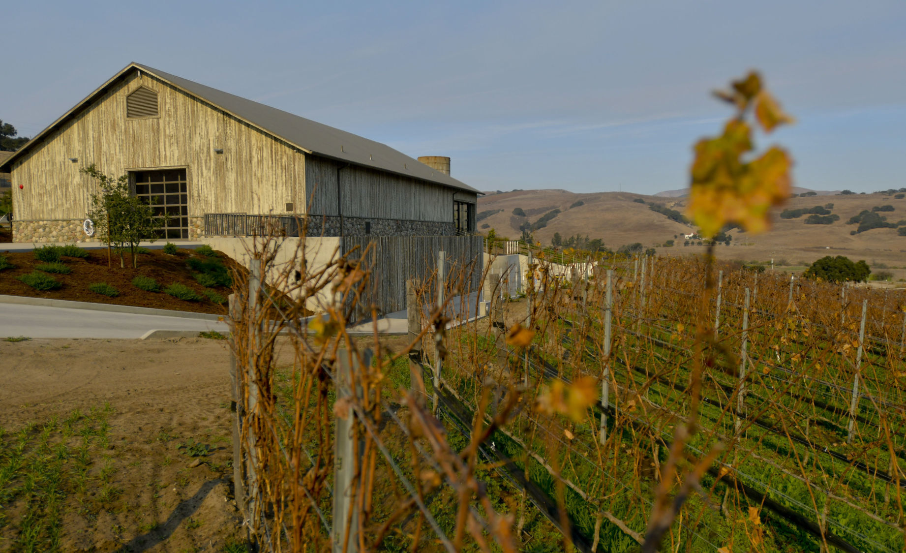 Photos: The beauty of living on the Central Coast